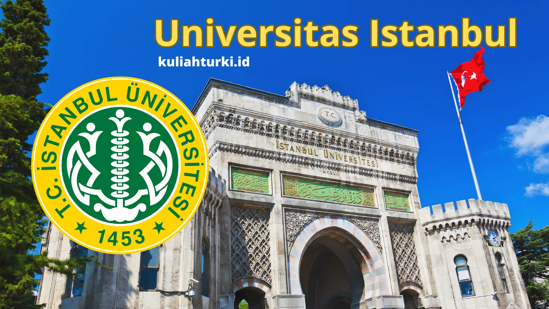 Universitas Istanbul