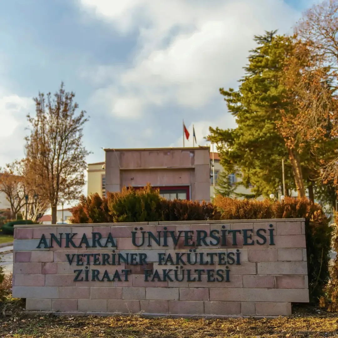 Ankara University