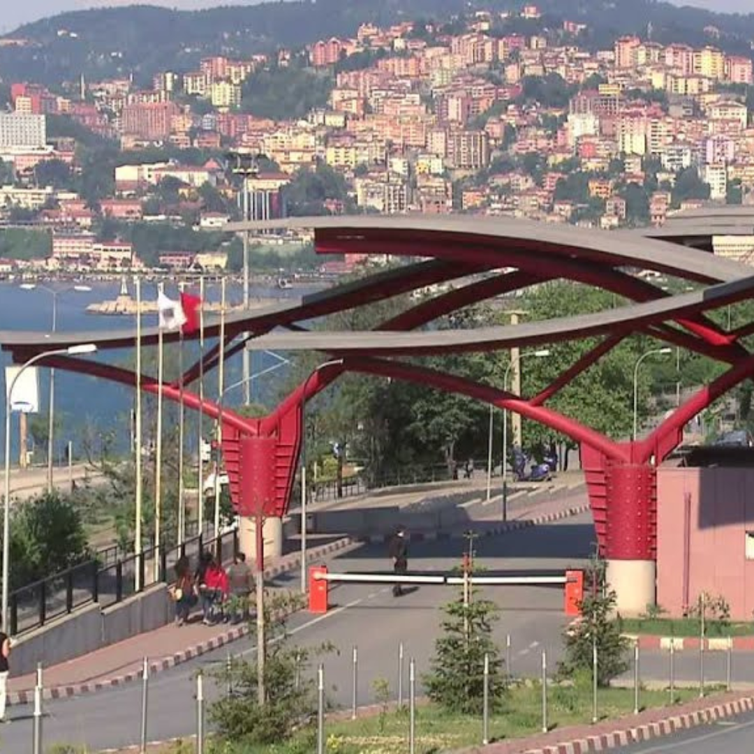 Zonguldak Bulent Ecevit University